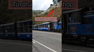 Darjeeling Himalayan railway reached at Tindhariya workshop toytrain railfans train loco ndm6 [upl. by Diva878]