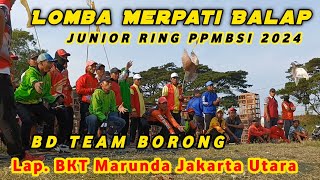 Lomba Merpati Balap JUNIOR RING PPMBSI 2024 Jarak 800 M  BD TEAM BORONG JUARA 123  18 Mei 2024 [upl. by Haakon]