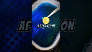 Wake up in the afternoon😎😅 shorts viral subscribe [upl. by Cai60]