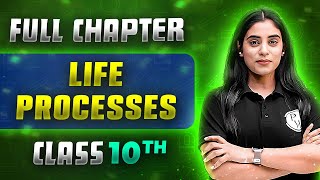 Life Processes FULL CHAPTER  Class 10th Science  Chapter 5  Udaan [upl. by Ecnarrot30]