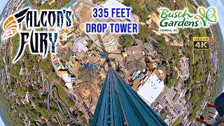 Falcons Fury 335 ft Drop Tower On Ride 4K POV Busch Gardens Tampa 2024 03 11 [upl. by Guttery]