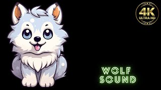 wolf sound  wolf sounds  wolf sounds howling  wolf sound effect  wolf sound of silence  wolf [upl. by Graff927]