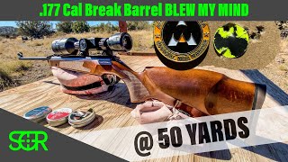 Feinwerkbau FWB Sport 177 CAL  REVIEW  50 YARD Accuracy this is an 😱 Break Barrel [upl. by Manaker]