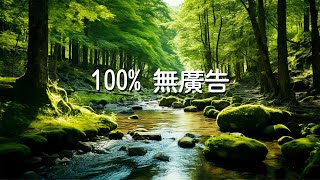 【100 無廣告 】  世界上最好聽的純音樂！值得你單曲圈的輕音樂合輯！  舒服鋼琴讓你很快靜下心來早晨正能量音乐治療音樂冥想舒緩按摩美麗的鳥鳴與流水 [upl. by Mcloughlin732]