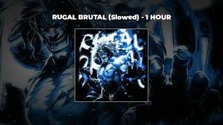 1 HOUR PHONK DJ PROIBIDO  RUGAL BRUTAL Slowed [upl. by Kore]