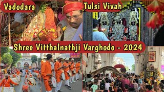 Vitthalnathji No Varghodo 2024  Dev Uthani Ekadashi  Tulsi Vivah  Vitthal Mandir Mandvi Vadodara [upl. by Nnairak]