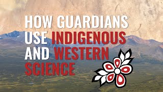 How Guardians Use Indigenous and Western Science [upl. by Nyer]