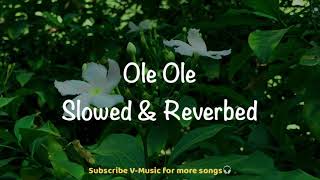 Ole Ole Slowed amp Reverbed  Yeh Dillagi  Saif Ali Khan Kajol  Abhijeet Bhattacharya  VMusic [upl. by Seravat]