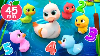 5 Little DucksLearn Colors Song  Newborn Baby Songs amp Nursery Rhymes [upl. by Nanji]