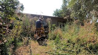 Tall Grass ASSAULT On This OVERGROWN Backyard [upl. by Renelle]