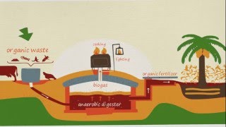 what is biogas how did it produce [upl. by Cathe]