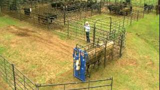 Priefert Small Cattle Working Systems [upl. by Harriette]