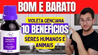 VIOLETA GENCIANA 10 BENEFÍCIOS PARA SERES HUMANOS E ANIMAIS SOLUÇÃO BOA E BARATA FUNCIONA MESMO [upl. by Delmore]