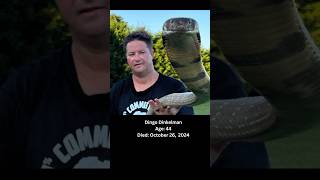 Dingo Dinkelman A Reptile Handler Passed Away To A Snake Bite🕊️dingo youtuber fy shorts rip [upl. by Akeenat276]