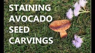 How to STAIN and SEAL avocado seed carvings [upl. by Koal953]