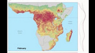 Fluctuations Triggers Ebola Virus Spillover [upl. by Htyderem]