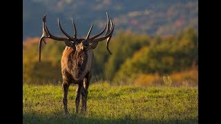 Elk County Pennsylvania [upl. by Babita445]