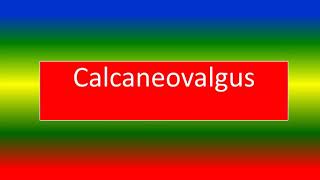 CALCANEOVALGUS [upl. by Eihtak]