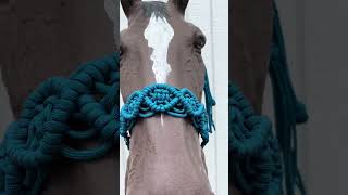 macrame horse halter horse horsetack horseriding horseaccessories [upl. by Arod]