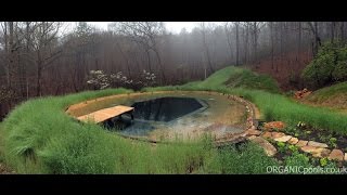 How to make a Natural  Organic Pool in America [upl. by Enerehs]