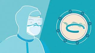 Causes of elastomer Oring and seal failure  Outgassing [upl. by Rauch601]