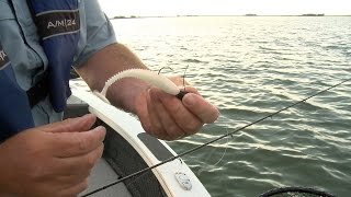 Tackle Tip for Shallow Walleye [upl. by Alinoel]