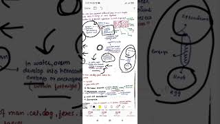 Diphyllobothrium latum  cestodes  parasitology  microbiology  Dr Zubia [upl. by Schwerin]