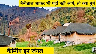 Sigri Jungle Camp  Pangot  Best place in Nainital for jungle camping [upl. by Aiclid445]