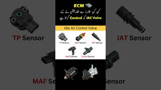 The IAC valve can be controlled by the ECM using these sensors iacvalve idleaircontrolvalve [upl. by Aydne61]