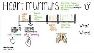 Heart Murmurs Overview Heart Murmur Series [upl. by Peirce]