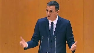 quotSubirán 25 los salarios de los fucionariosquot Pedro Sánchez en el Senado [upl. by Oregolac]