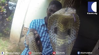 Cobra amp Giant Rat Snake in Central Jail  Vava Suresh came to Rescue  SNAKE MASTER [upl. by Reinhardt348]