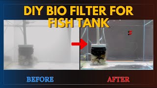 DIY BIO FILTER FOR FISH TANK [upl. by Fruin]