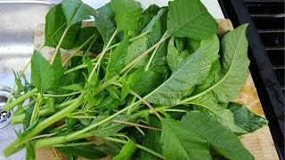 How To Prepare Jamaican Callaloo For Cooking  Chris De La Rosa  FoodFAQ [upl. by Pantin386]