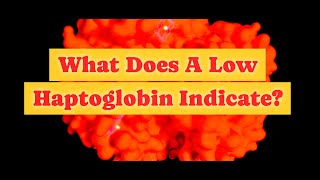 What Does Low Haptoglobin Indicate [upl. by Nekciv584]