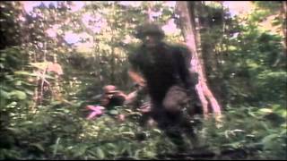 Vietnam Combat Footage [upl. by Lerat]