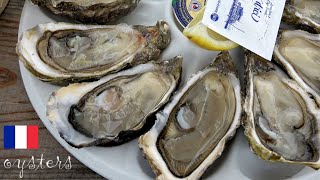 Arcachon Bay oysters Pays de Buch France Europe [upl. by Arezzini198]