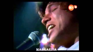 Riccardo Cocciante  Margarita en español da Aplauso 1980 [upl. by Isolt955]