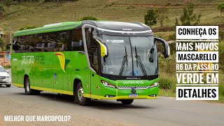 CONHEÃ‡A OS NOVOS MASCARELLO R6 2023 DA VIAÃ‡ÃƒO PÃSSARO VERDE EM SUA 1Âº LINHA NA EMPRESA [upl. by Manaker]