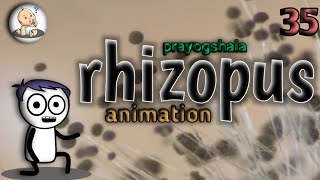 RHIZOPUS STOLONIFER PRACTICALY AND RHIZOPUS ANIMATION IN HINDI [upl. by Suravat]