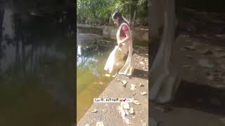 Ti kashi tuja premat padli 🤣🤭love shortsviral funny shortvideos viralvideos [upl. by Yasmar921]