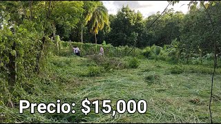 Terreno en venta 15000  875 mts Cuadrados según escrituraAprox 3 lotes y medio en total [upl. by Dlanor680]