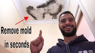 How to remove and kill mold  mould [upl. by Aenitsirhc]