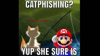 Mario’s Catfish [upl. by Silvers]