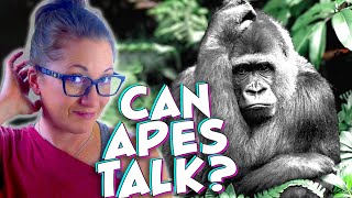 The Bizarre Truth About Ape Sign Language [upl. by Jemmie636]