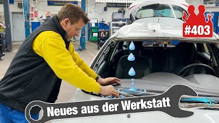 Windschutzscheibe verpfuscht  Ford unter Wasser 💦😡  Werkzeug für die Flutopfer 🙏 [upl. by Rainwater]