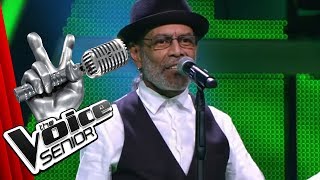 Sting  Fragile Eduardo Villegas  The Voice Senior  Audition  SAT1 TV [upl. by Annaeerb279]