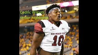 Cedric Wilcots senior highlights  new Winnipeg Blue Bomber [upl. by Itirahc]