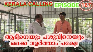 ആടിനേം പശുവിനെയും ഒക്കെ വളർത്താം പക്ഷേ Kerala Calling EPISODE167 [upl. by Eimaraj]