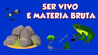 Os Seres Vivos e a Matéria Bruta [upl. by Ettenirt646]